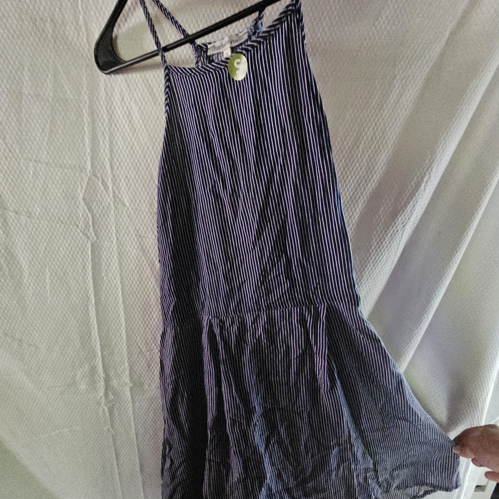 Charlotte Russe Navy and White Striped Dress
